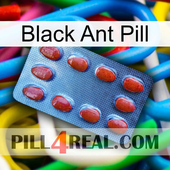 Black Ant Pill 06.jpg